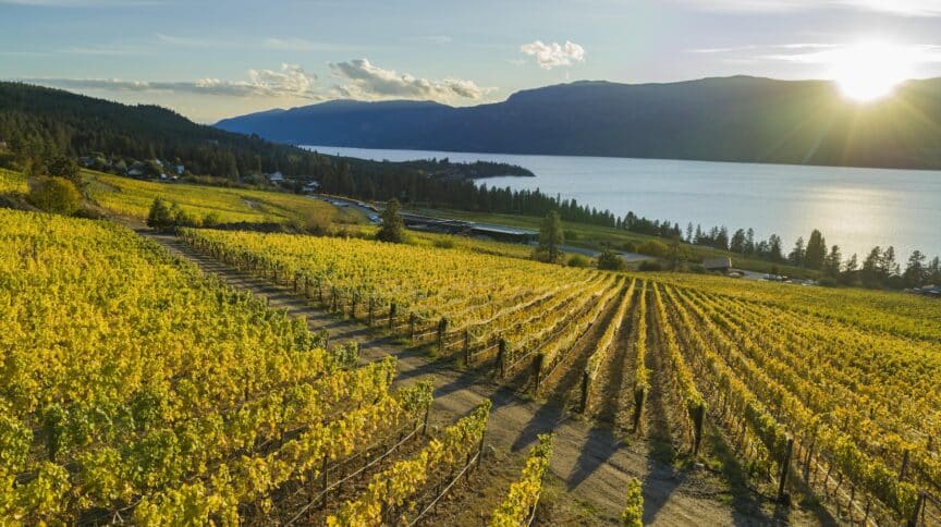 Summerland wine tour, vineyard and lake views, Okanagan Valley