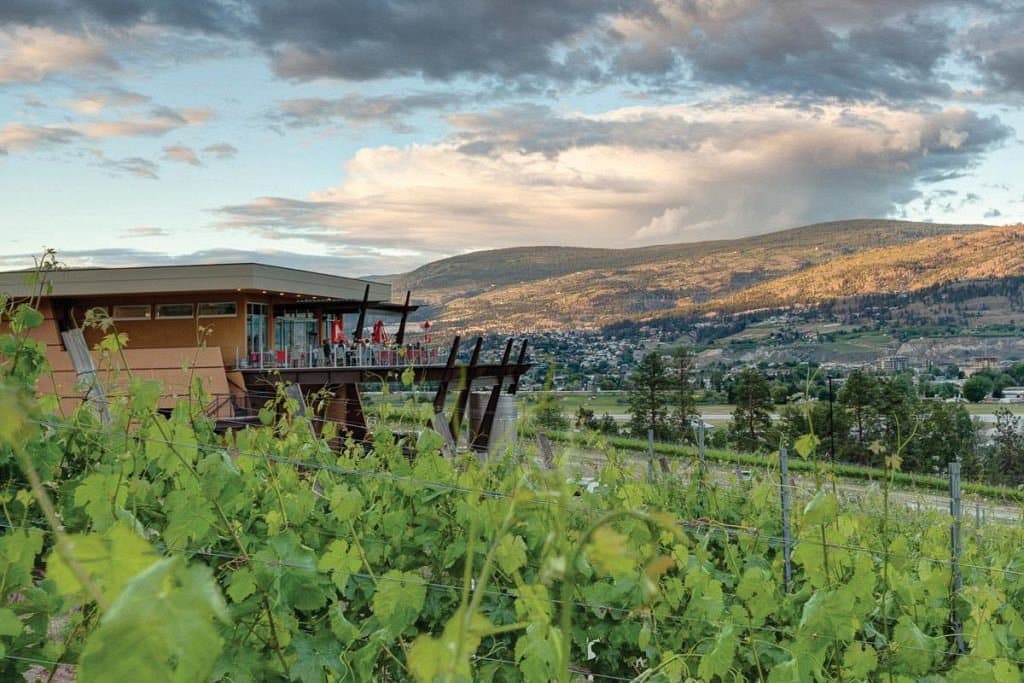 Tinhorn Creek Winery Vivid Tours Kelowna Wine And Craft Beer Tours