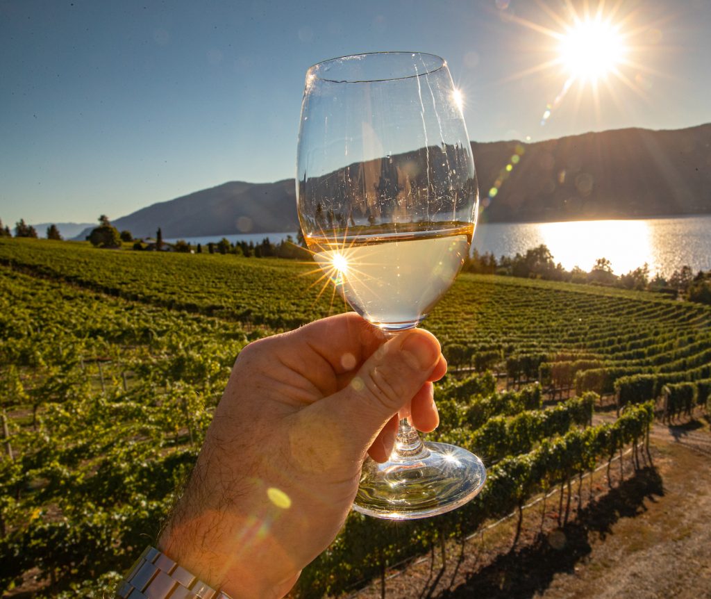 Sunset wine tour near Sparkling Hill Resort.  Gray Monk Estate Winery overlooking the vineyard and Okanagan Lake