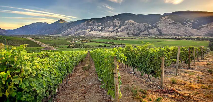 Best Instagram Worthy Okanagan Wineries