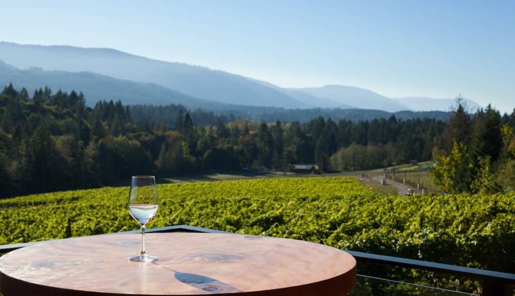 Victoria Bachelorette Wine Tour 1 Victoria Bachelorette Wine Tours