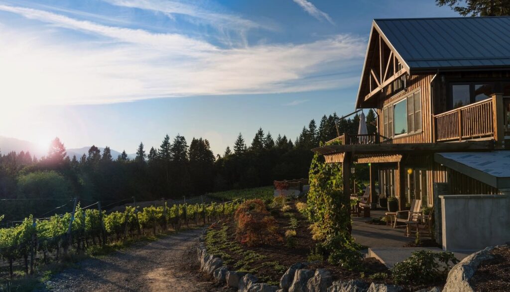 Kelowna Wine & Craft Beer Tours 1