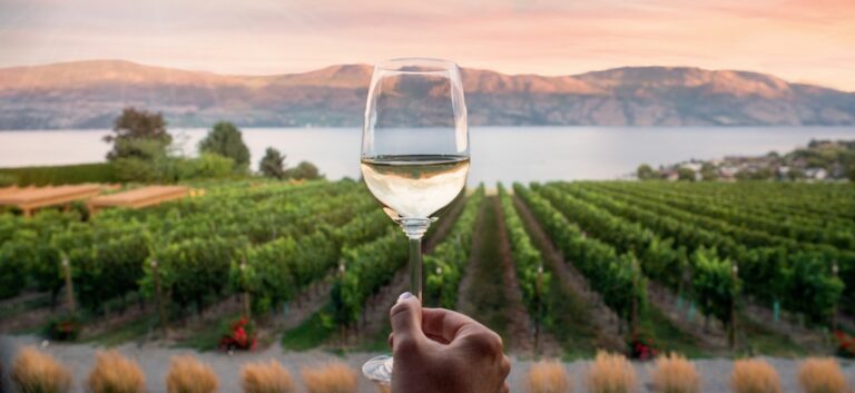 8 Summerland Wineries You Need To Visit