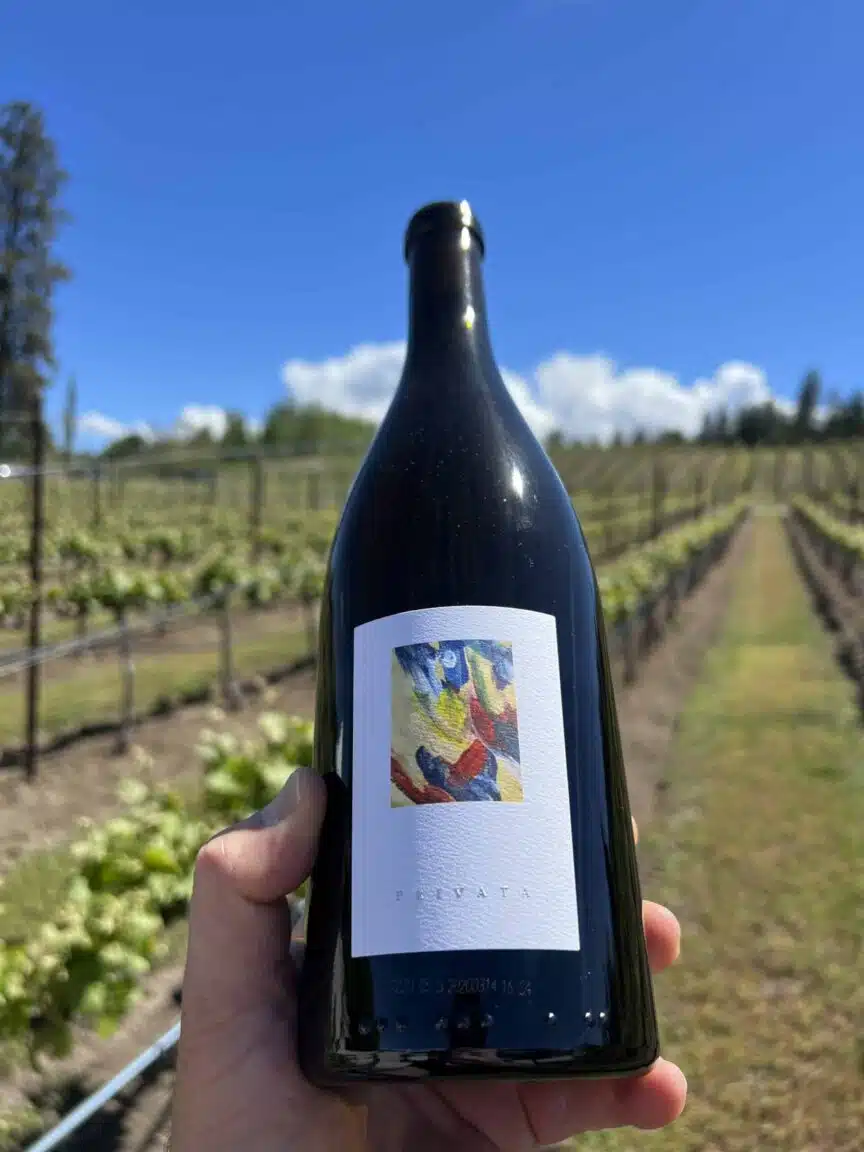 Wine in the vineyard at Ex Nihilo Vineyards, Lake Country, B.C.