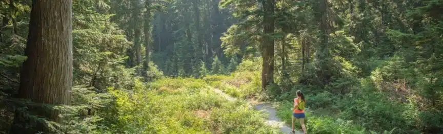 Hiking and trail running through a forest in Kelowna, British Columbia