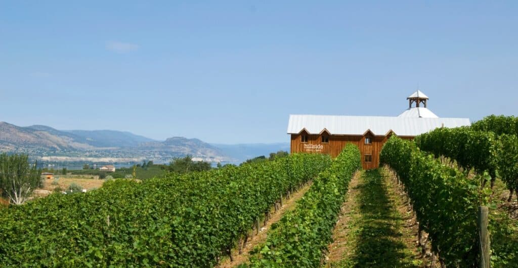 Kelowna Wine & Craft Beer Tours 13
