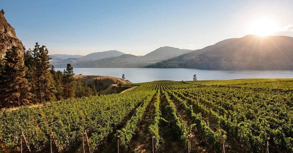 Kelowna Wine & Craft Beer Tours 7
