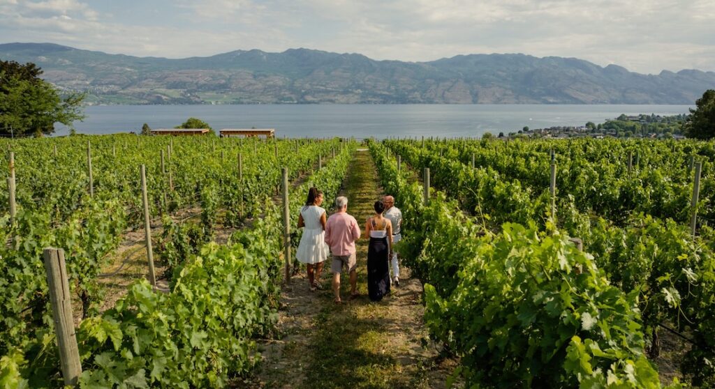 Kelowna Wine & Craft Beer Tours 3