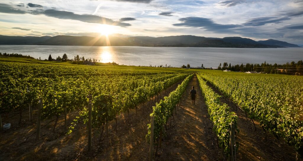 Kelowna Wine & Craft Beer Tours 27