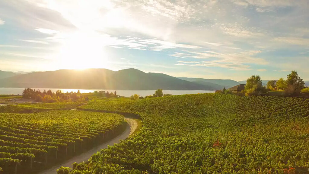 Elevated Naramata Bench Wine Tour