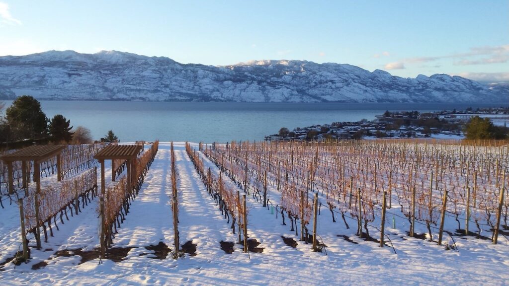 7 Best Wineries for a Winter Wine Tour in Kelowna 7 Kelowna Wine & Craft Beer Tours 6