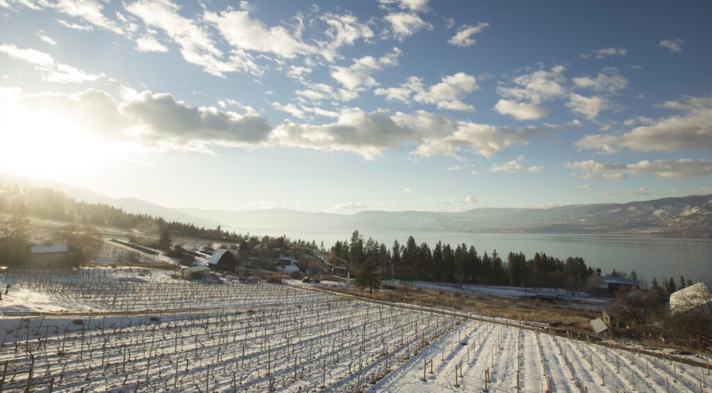 7 Best Wineries for a Winter Wine Tour in Kelowna 19 Kelowna Wine & Craft Beer Tours 18