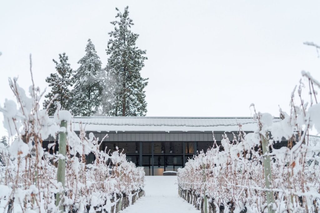 7 Best Wineries for a Winter Wine Tour in Kelowna 11 Kelowna Wine & Craft Beer Tours 10