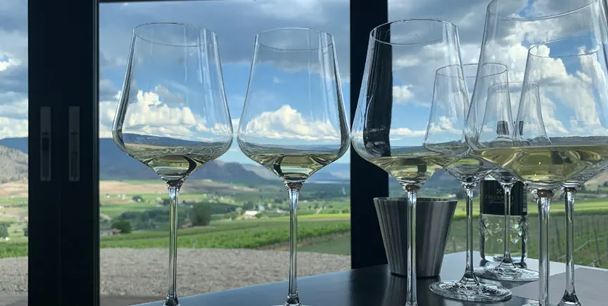 Kelowna Wine & Craft Beer Tours 4