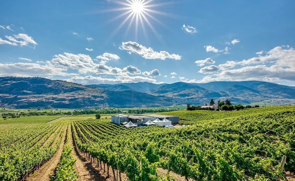 Kelowna Wine & Craft Beer Tours 1