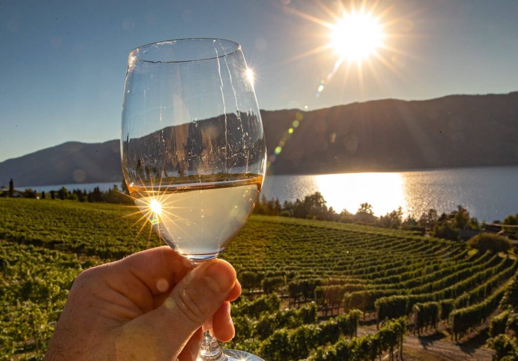 Kelowna Wine & Craft Beer Tours 3