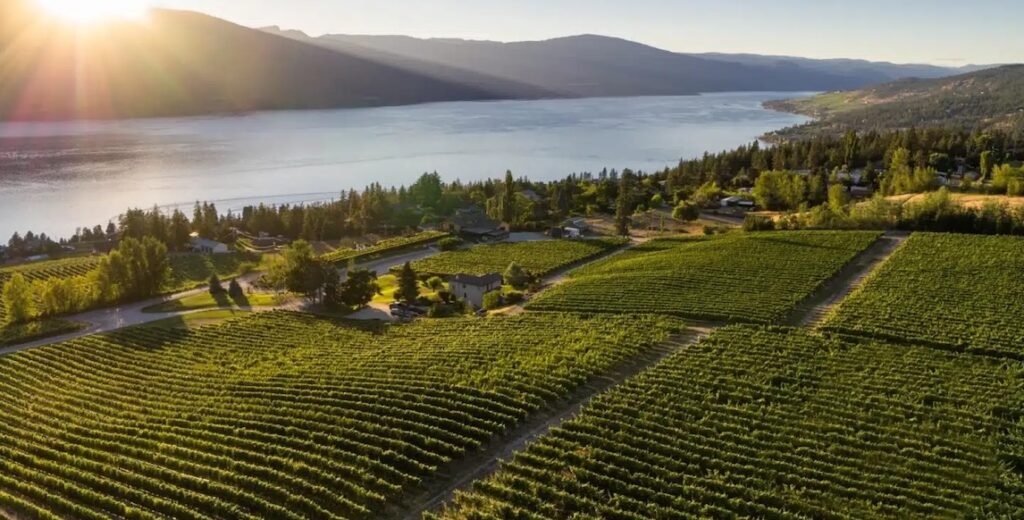 Kelowna Wine & Craft Beer Tours 3