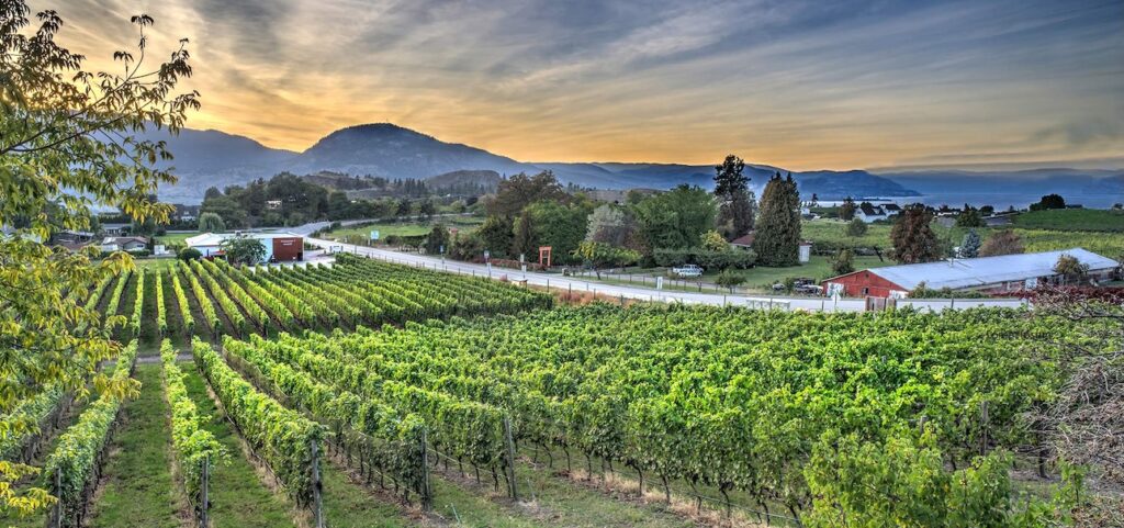 Kelowna Wine & Craft Beer Tours 2