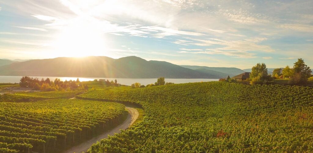 Kelowna Wine & Craft Beer Tours 12