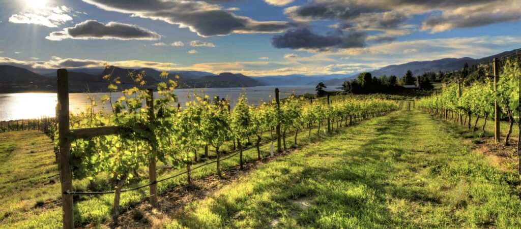 Kelowna Wine & Craft Beer Tours 5