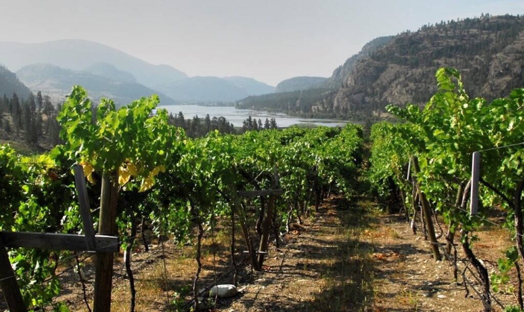 Kelowna Wine & Craft Beer Tours 7