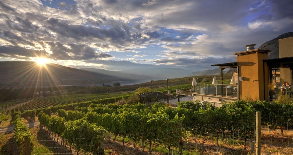 Kelowna Wine & Craft Beer Tours 7