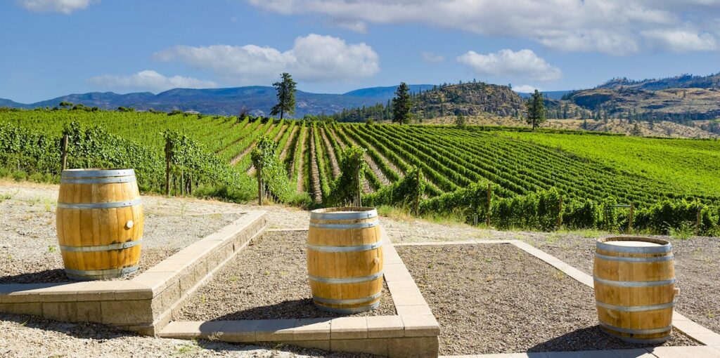 Kelowna Wine & Craft Beer Tours 5