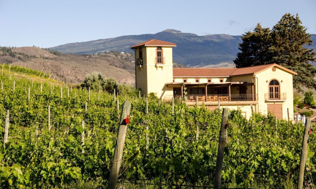 Kelowna Wine & Craft Beer Tours 3