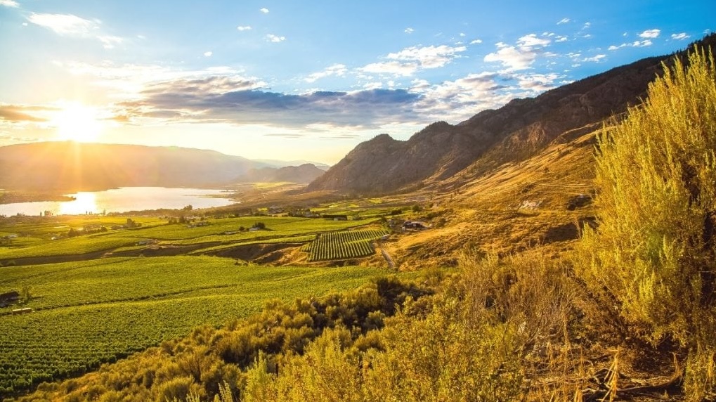 Kelowna Wine & Craft Beer Tours 5