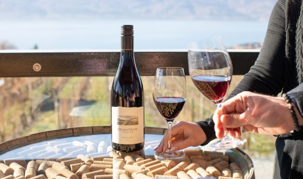 Kelowna Wine & Craft Beer Tours 7