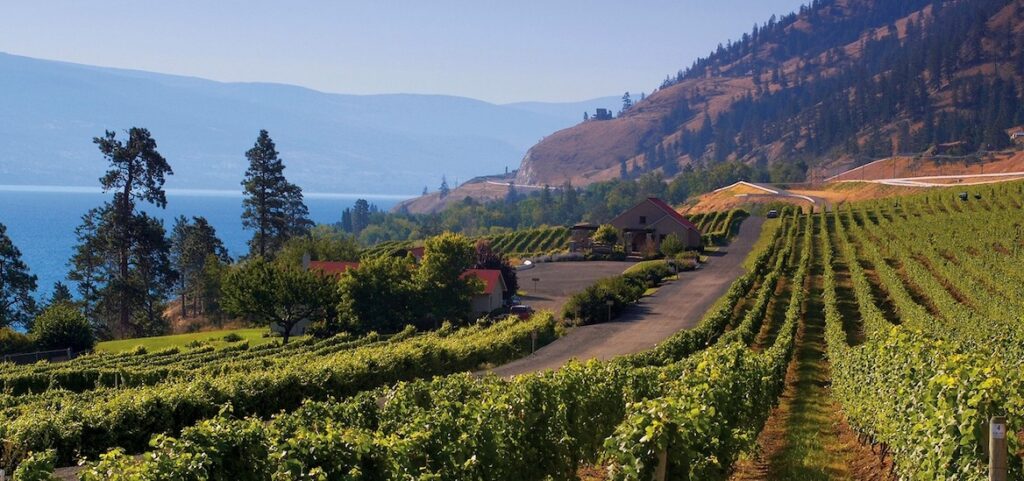 Kelowna Wine & Craft Beer Tours 3
