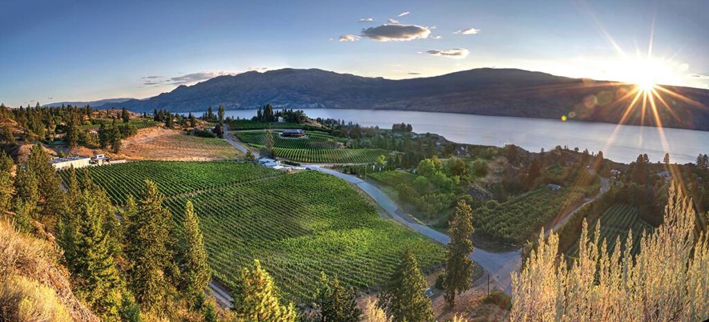 Kelowna Wine & Craft Beer Tours 7