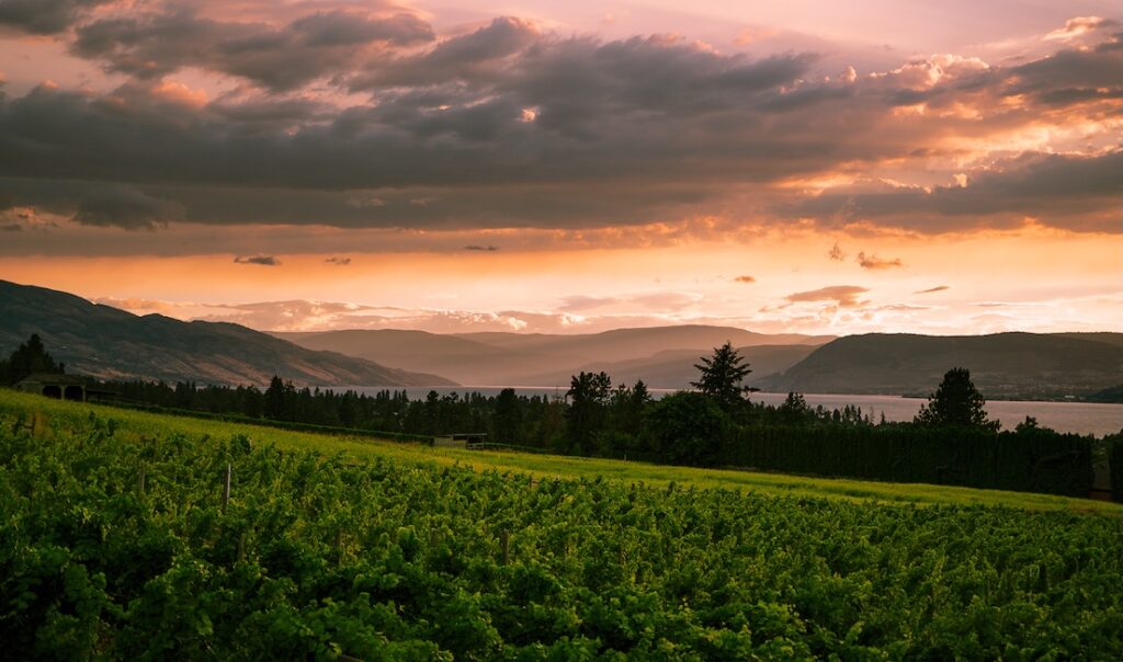 Kelowna Wine & Craft Beer Tours 7