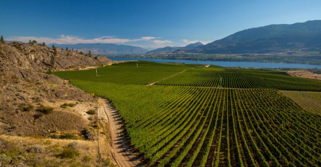 Kelowna Wine & Craft Beer Tours 7