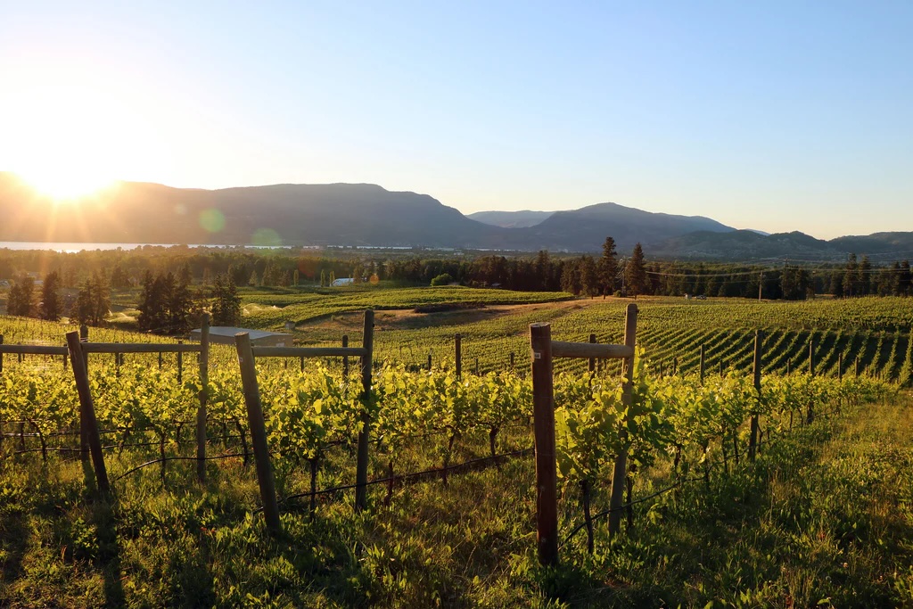 Kelowna Wine & Craft Beer Tours 9