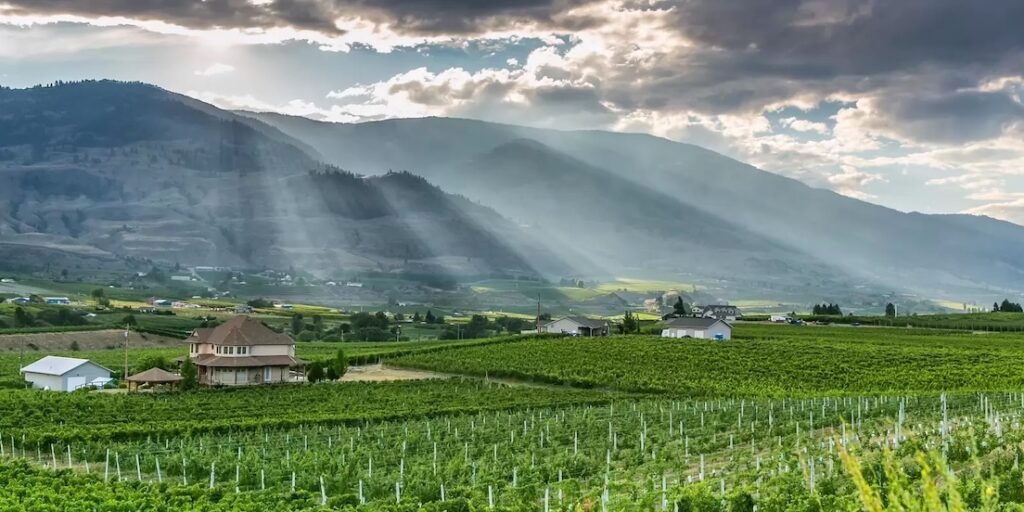 Kelowna Wine & Craft Beer Tours 9