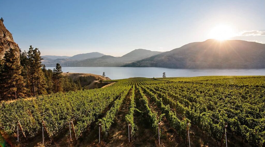 Kelowna Wine & Craft Beer Tours 8