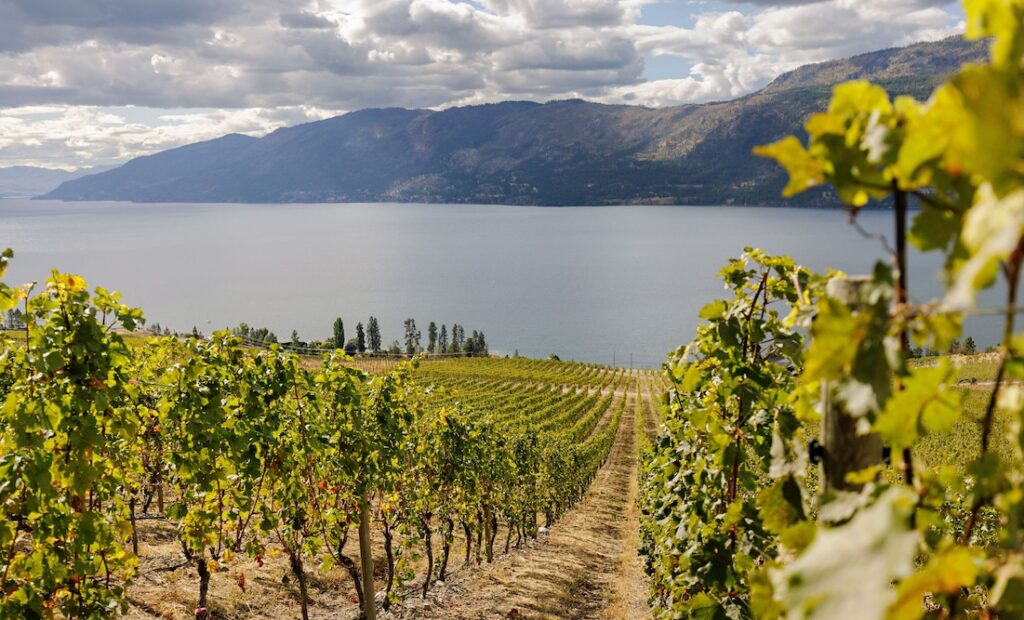 Kelowna Wine & Craft Beer Tours 12