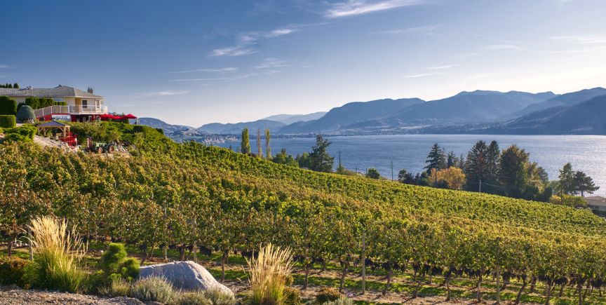 Kelowna Wine & Craft Beer Tours 14