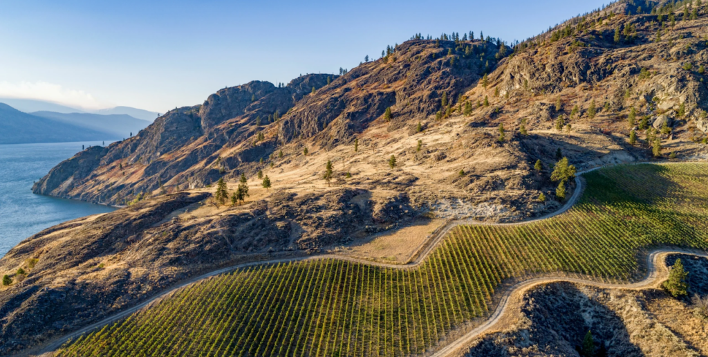 The Ultimate Guide to Kelowna Wine Tasting Fees In 2026 3 Kelowna Wine & Craft Beer Tours 2
