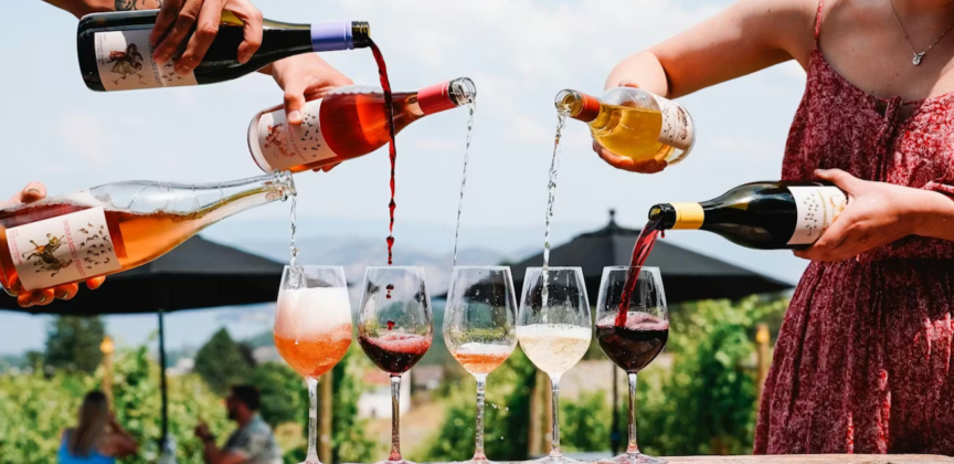 The Ultimate Guide to Kelowna Wine Tasting Fees In 2026 1 Guide To Kelowna Wine Tasting Fees