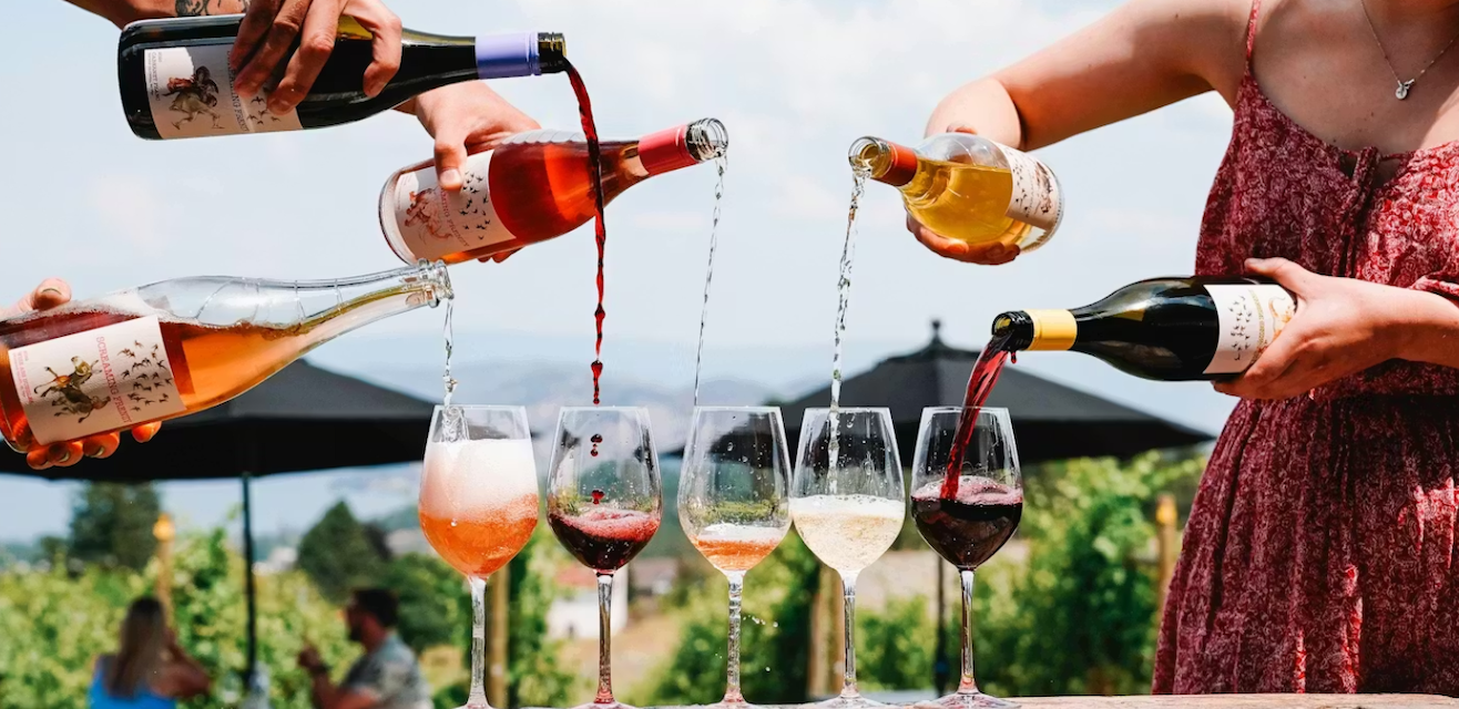 Featured image for “The Ultimate Guide to Kelowna Wine Tasting Fees In 2026”