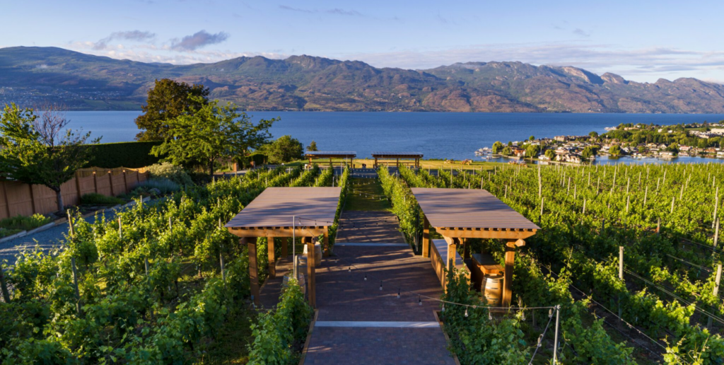 Kelowna Wine & Craft Beer Tours 8