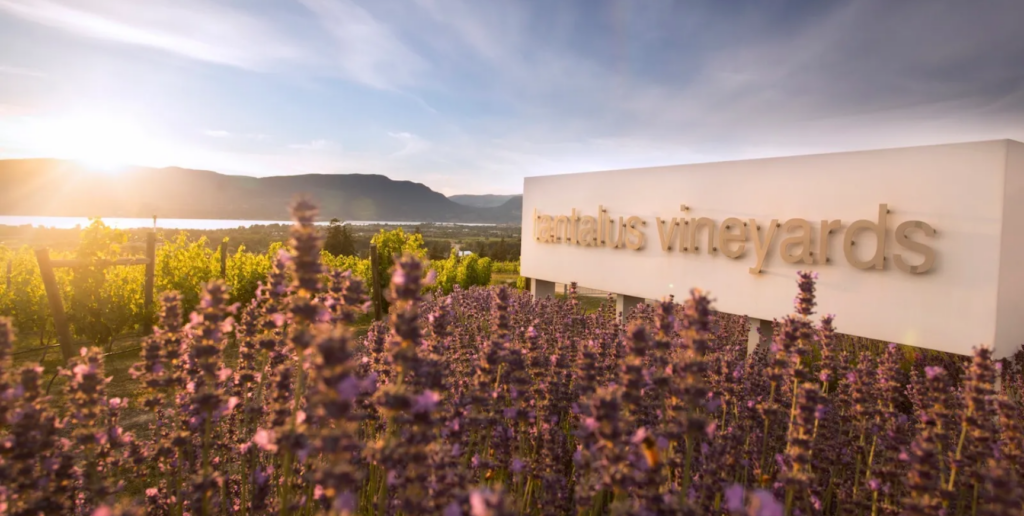 Kelowna Wine & Craft Beer Tours 4