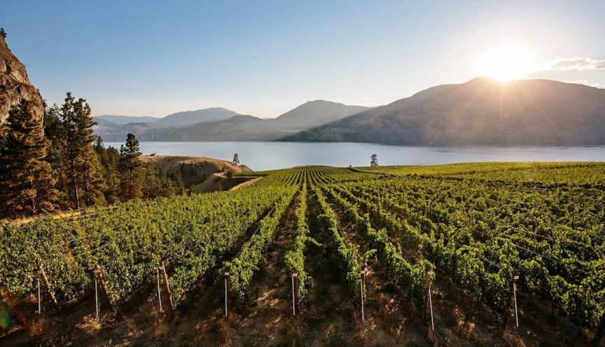 4 Unique Kelowna Wineries You Need To Visit
