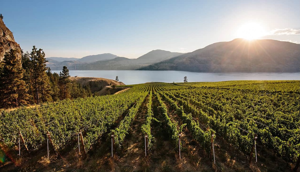 Featured image for “4 Unique Kelowna Wineries You Need To Visit”