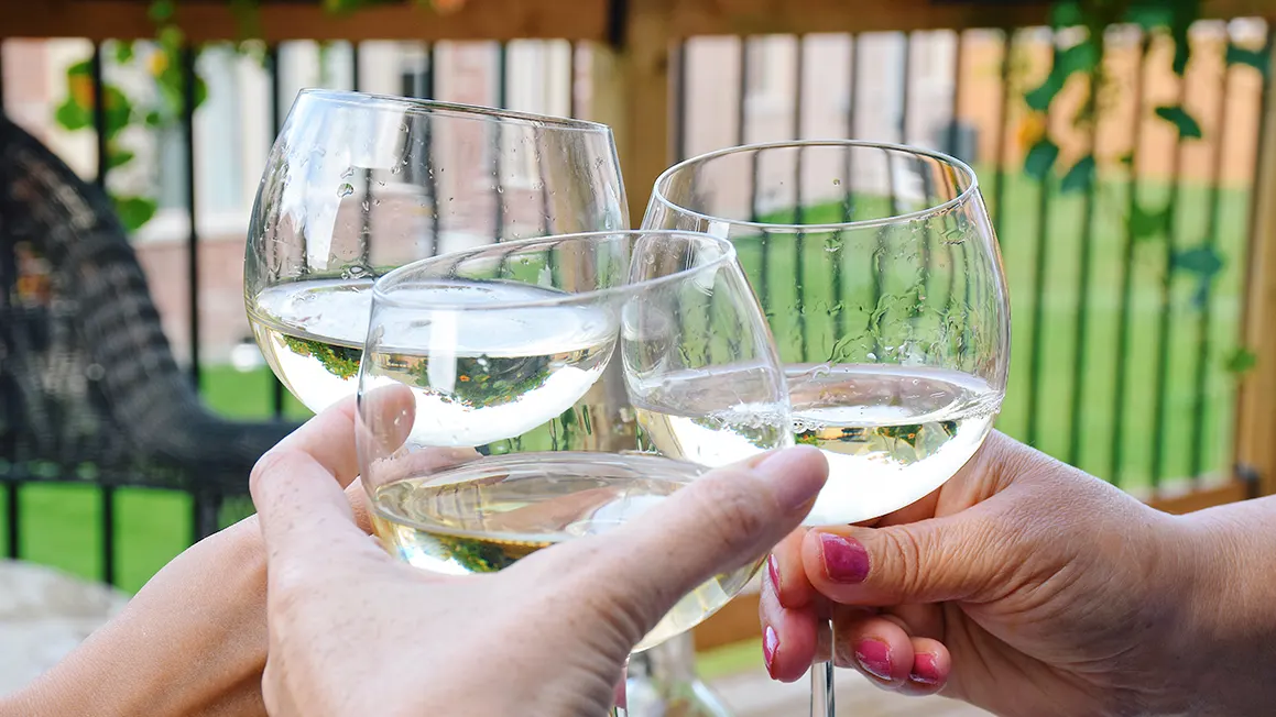 8 Best Summer Wines to Try This Season 3 Kelowna Wine & Craft Beer Tours 2