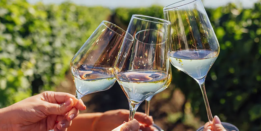 Kelowna Wine & Craft Beer Tours 6
