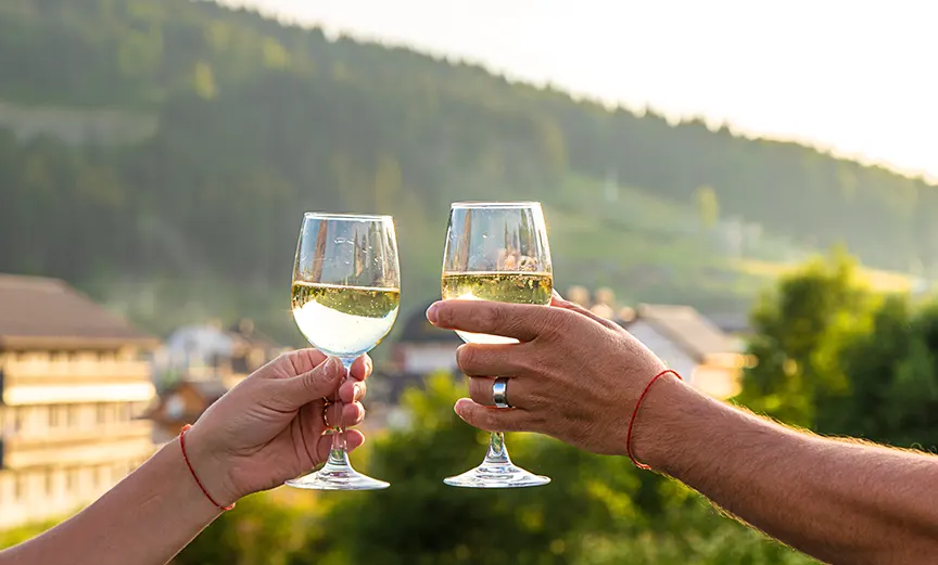  Kelowna Wine Tour Packages
