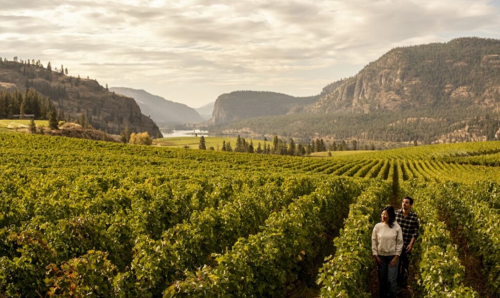 Kelowna Wine & Craft Beer Tours 2
